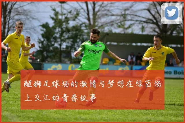 醒狮足球场的激情与梦想在绿茵场上交汇的青春故事