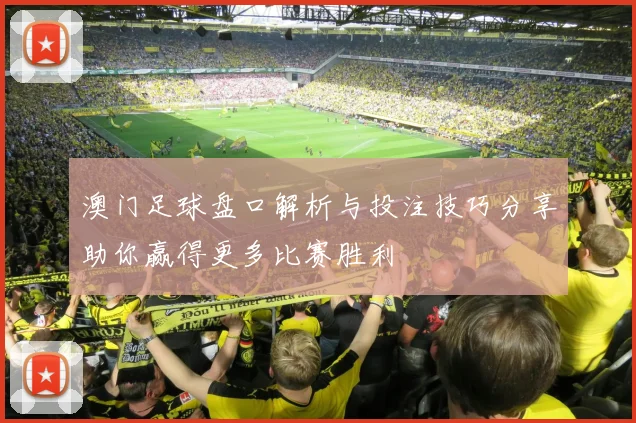 澳门足球盘口解析与投注技巧分享助你赢得更多比赛胜利